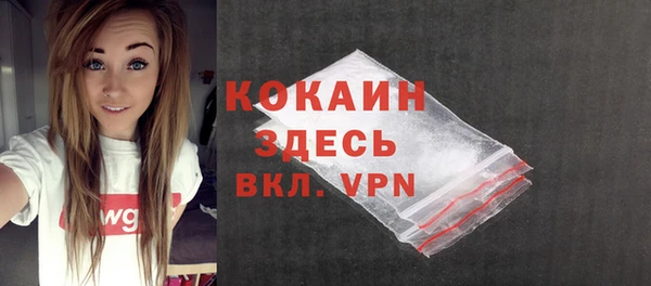 спайс Алексин