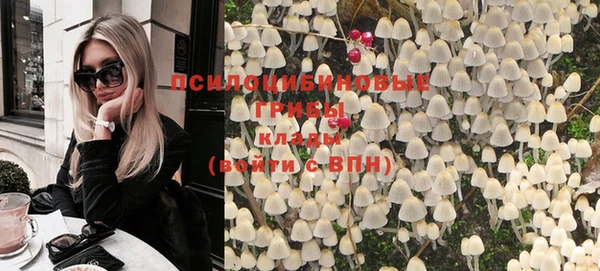 спайс Алексин