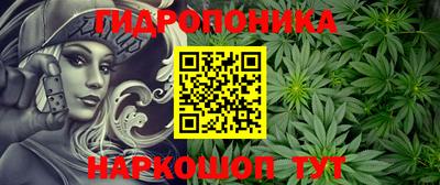 apvp Обь