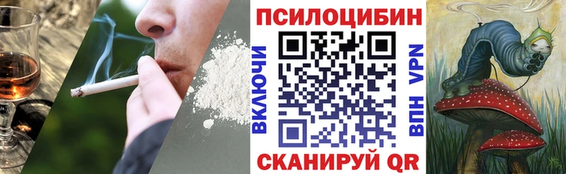купить наркоту  Тобольск  Псилоцибиновые грибы Psilocybe 
